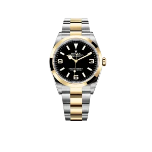 Rolex Explorer 36mm 18k Yellow Gold and Stainless steel (2024) 124273-0001